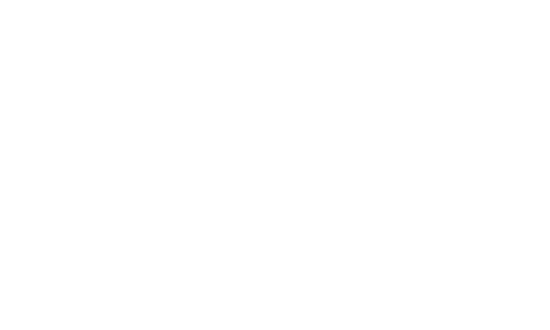 White 2k logo