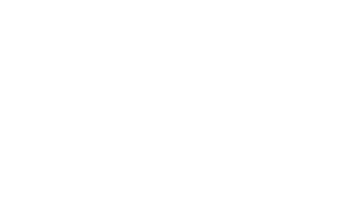 White T2 logo