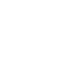 White Turtle Rock Studios logo