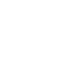 White Unreal Engine Logo