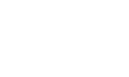 White Riot Games logo