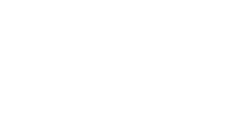 White Turtle Rock Studios logo